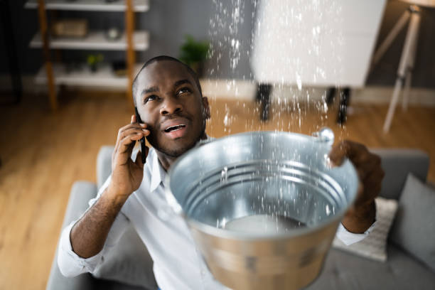 Best 24-hour water damage restoration  in Kulpmont, PA