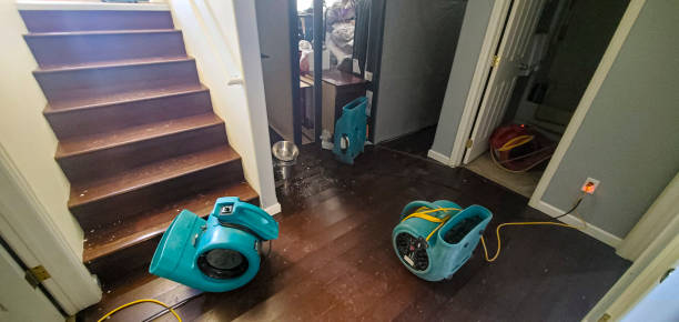 Best 24/7 water damage repair  in Kulpmont, PA