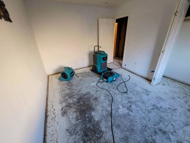 Best Residential water damage restoration  in Kulpmont, PA