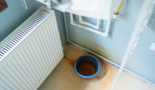 Best Flood damage cleanup  in Kulpmont, PA