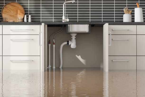 Best Professional water damage repair  in Kulpmont, PA