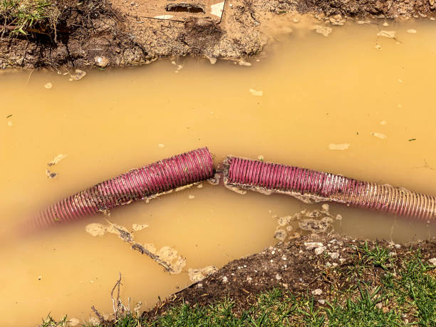 Best Commercial water damage restoration  in Kulpmont, PA