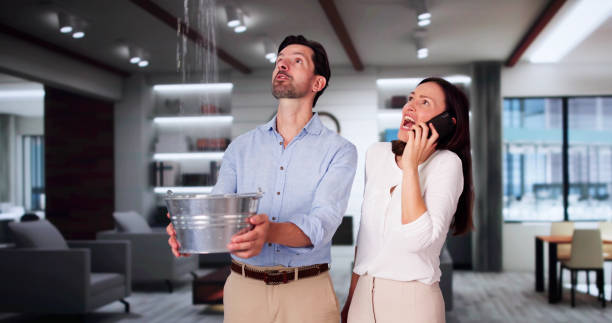 Best Local water damage restoration  in Kulpmont, PA