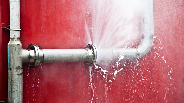 Best Water damage restoration specialists  in Kulpmont, PA