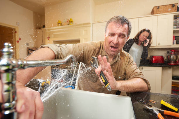 Best Water damage cleanup near me  in Kulpmont, PA